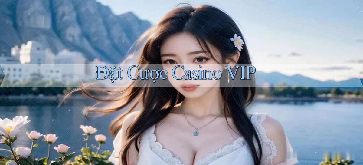 Đặt cược Casino VIP