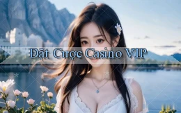 Đặt cược Casino VIP