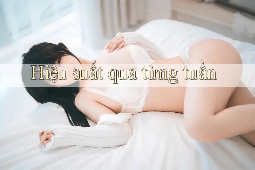 Hiệu suất qua từng tuần Hiệu suất qua từng tuần